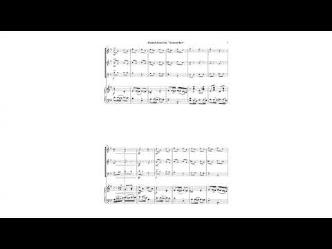 Care to Tango? Vol. 3 | Two Violins + Piano